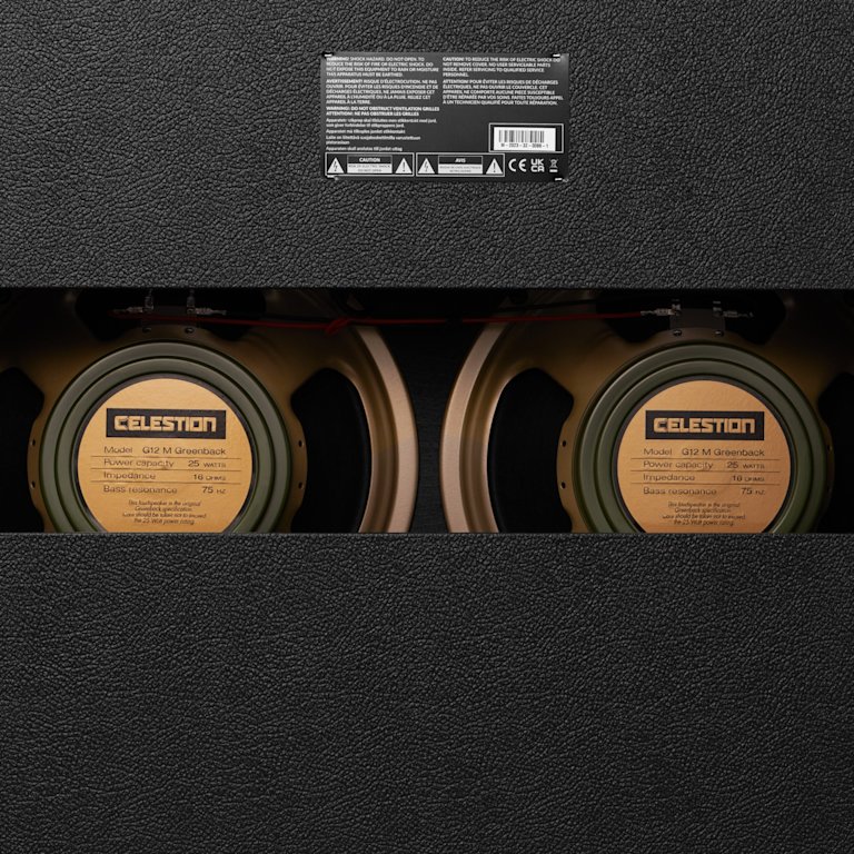 1962 Bluesbreaker Combo backside zoomed in