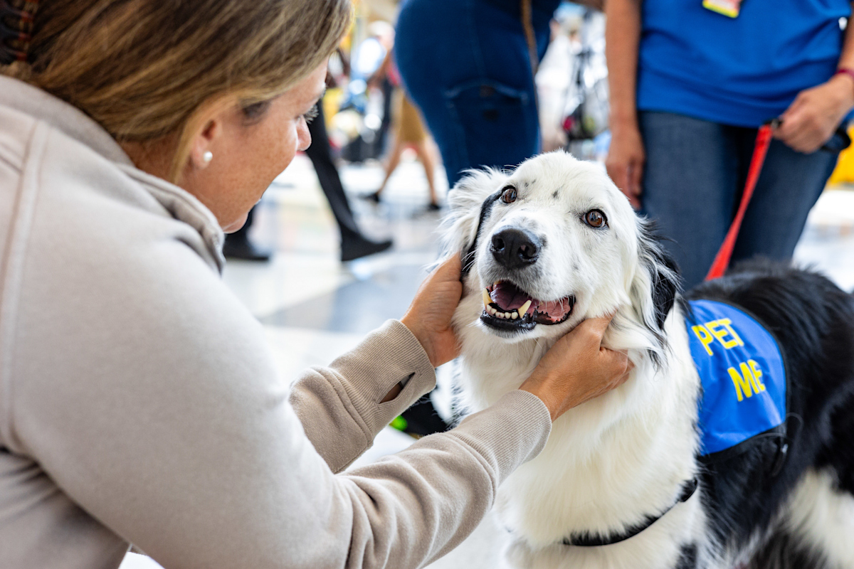 Canine Crew Poncho 6-20-24 (25 of 26)
