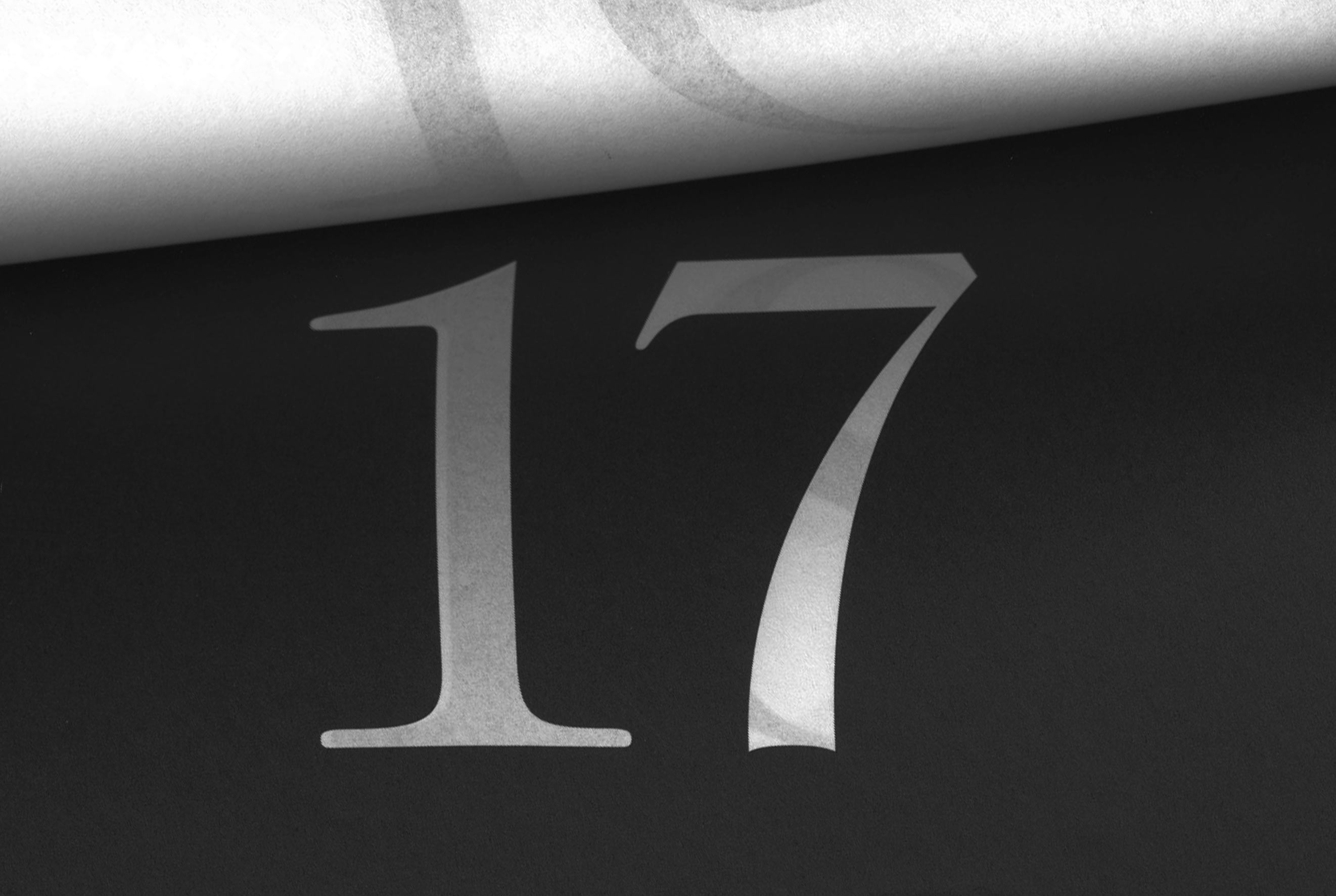 Studio Mitsu for L'Agence Artist Management. Project 2016, ephemeris - photography 5, close-up black and white. Graphic design, photography, editorial design, book
