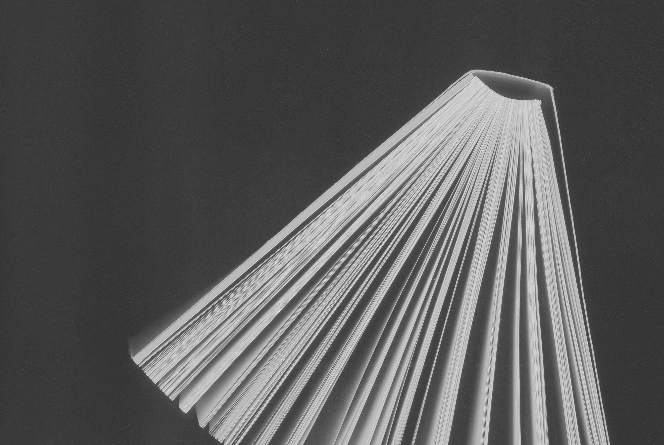 Studio Mitsu for L'Agence Artist Management. Project 2016, ephemeris - photography 6, overview black and white. Graphic design, photography, editorial design, book