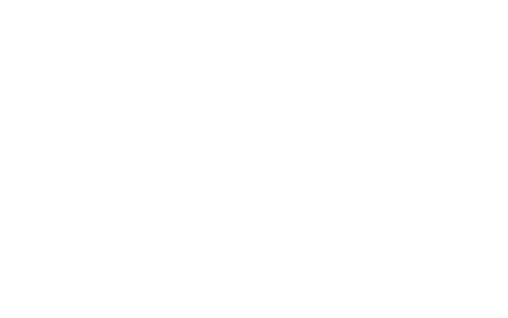 ORIGINAL CHICKEN