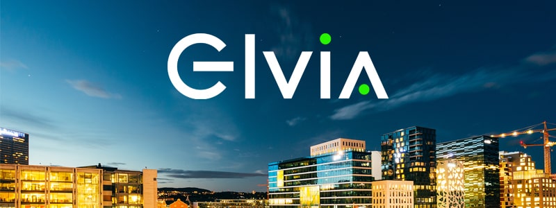 Elvia. logo