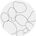image for -> マラセチア菌をイメージしたイラスト