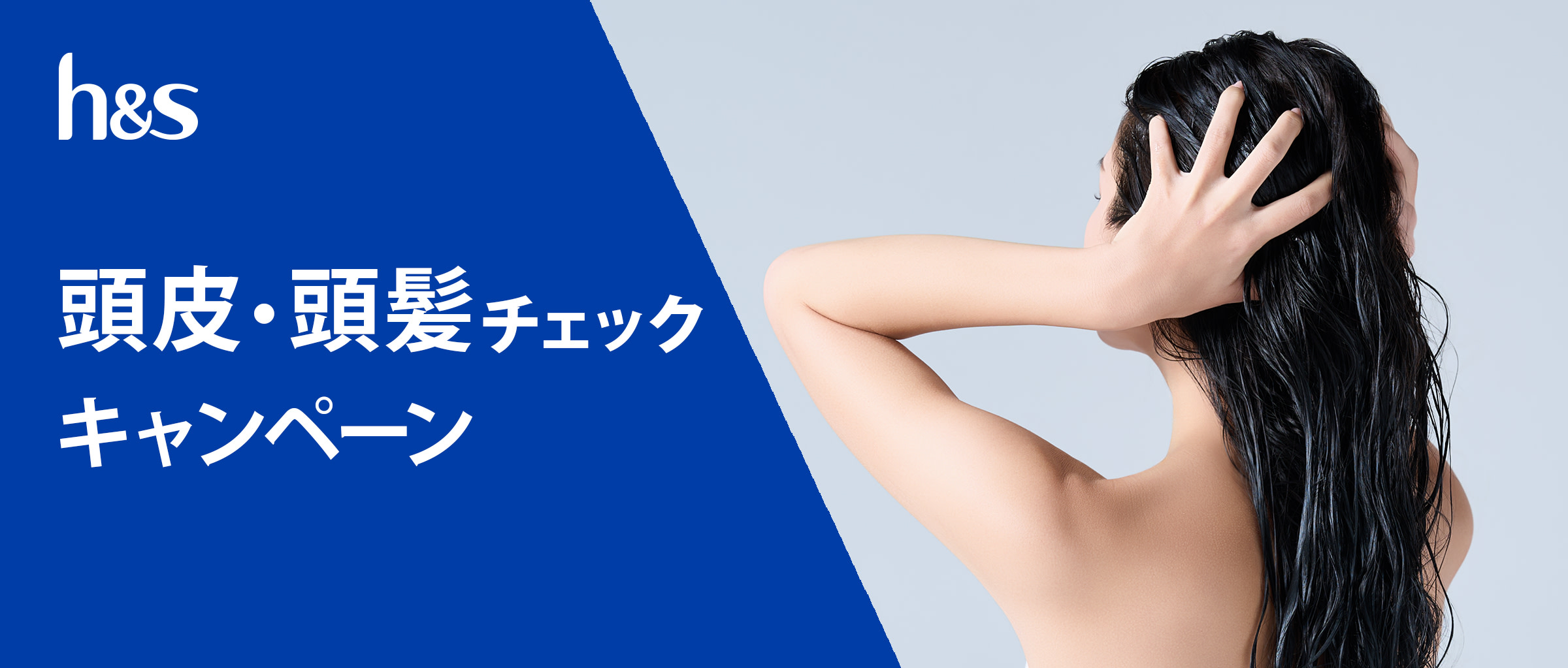 h&s 頭皮・頭髪チェックキャンペーン。 後ろ姿の女性が頭皮を触っている画像。