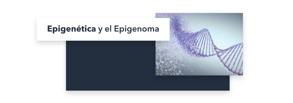 epigenetica epigenoma