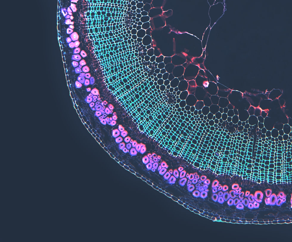 Epigenetic markers intro mobile | Epixlife
