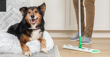 Swiffer Heavy Duty Pet Hair ADP 460x240