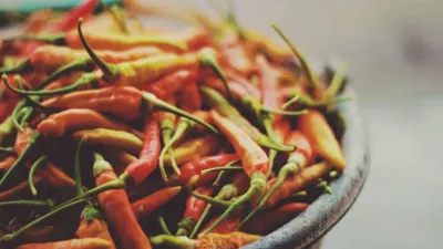 Pukka Herbs Australia article grid Foods to balance digestion: Kapha Dosha