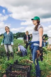 Careers - Volunteering days