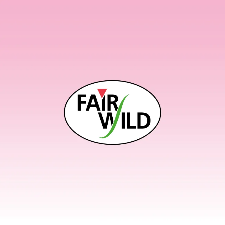 article grid valmaende/heres-to-a-beautiful-fairwild-world