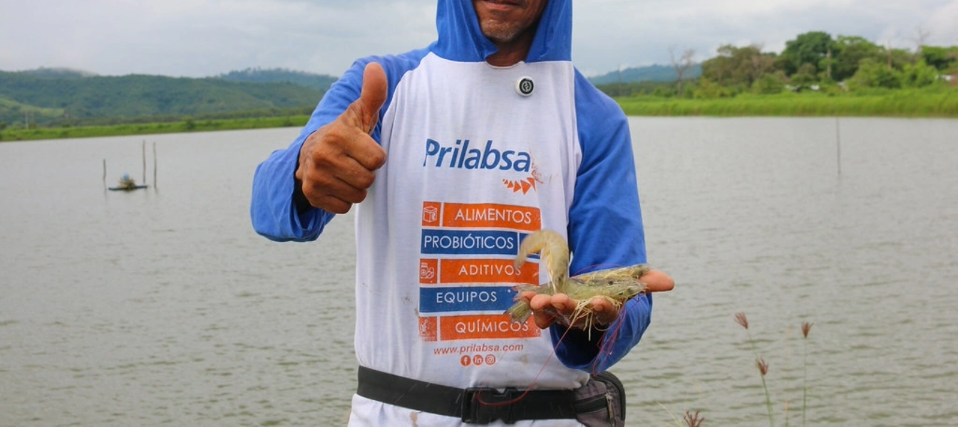 Colaborador sostiene un camarón junto a una piscina en Ecuador. (Crédito: Flickr del Ministerio de Producción)