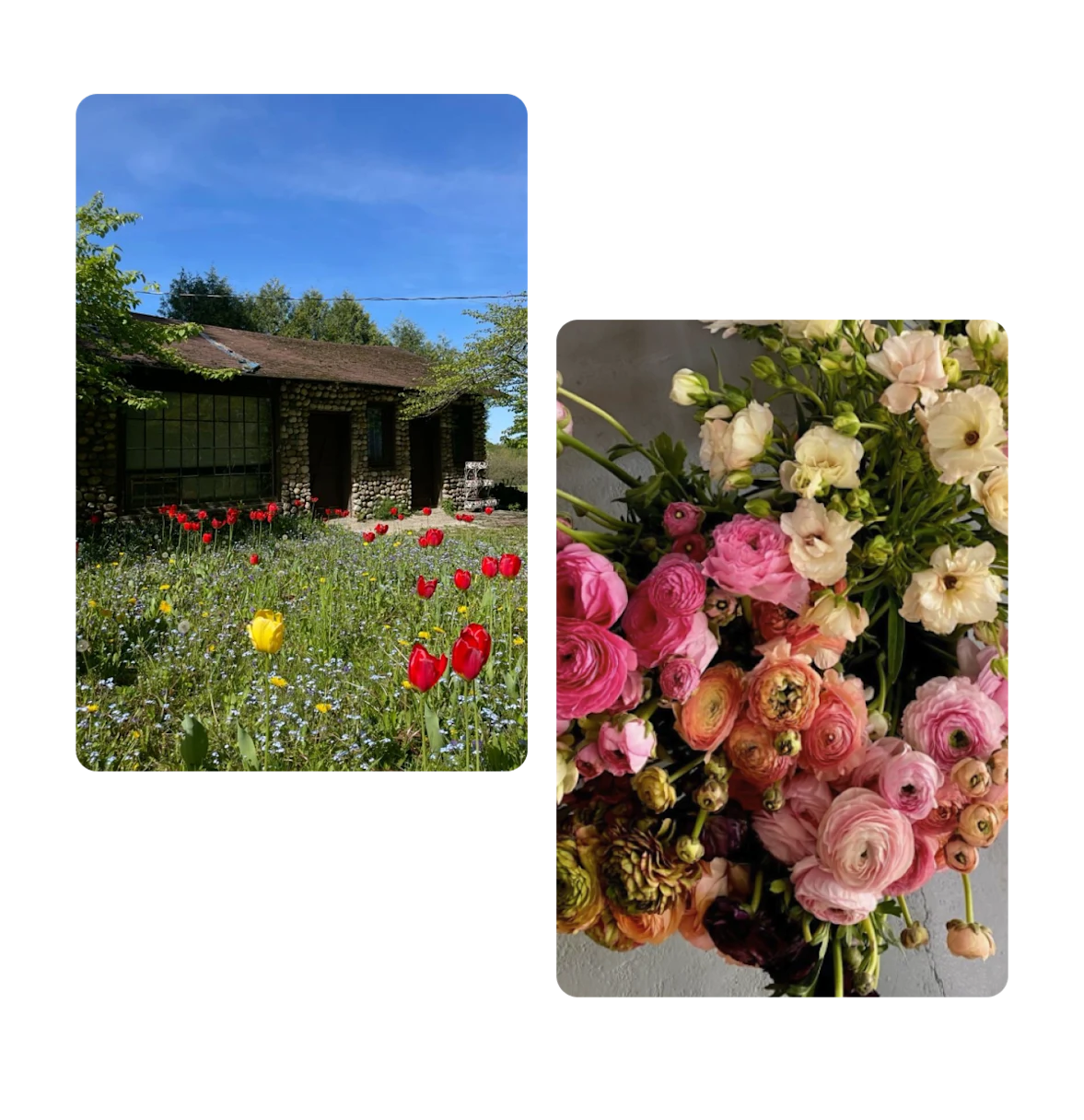 Dois Pins, casa em frente a um jardim com grama alta e flores, buquê de flores