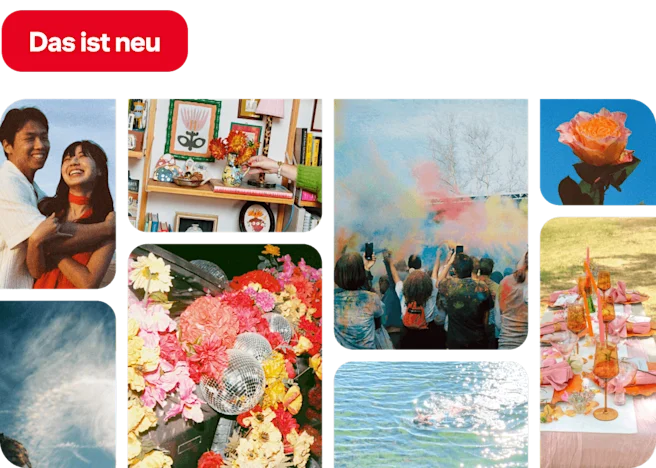 Pins featuring a happy couple, styled bookshelf, color powder festival, floral disco balls, orange rose, halo sky, lake splash, pink alfresco table.