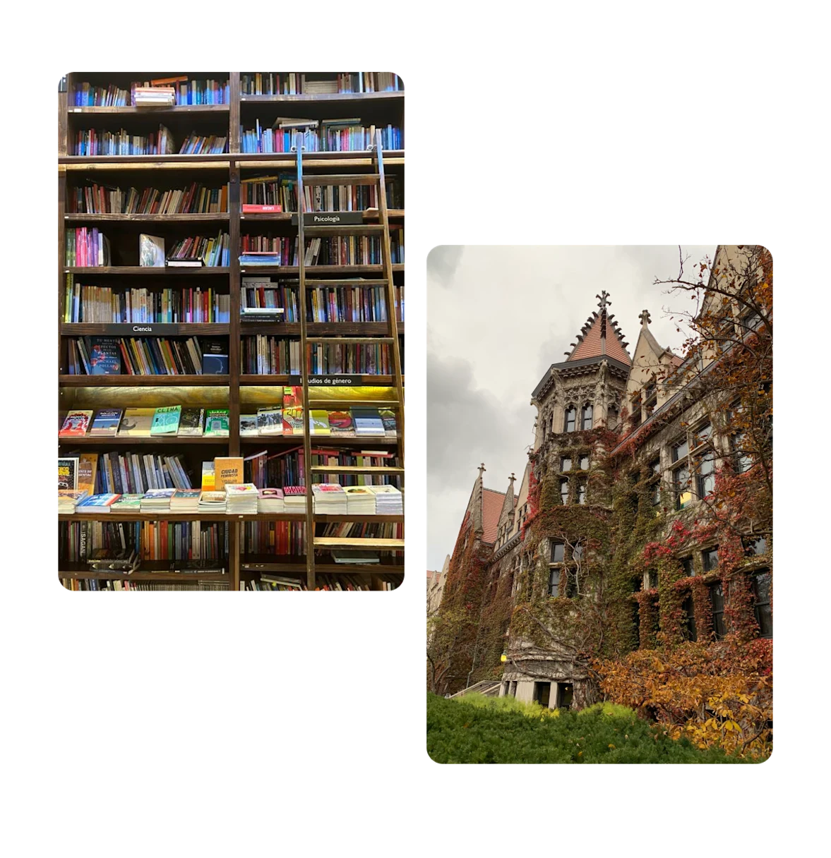 Two pins, library, outside of university building
