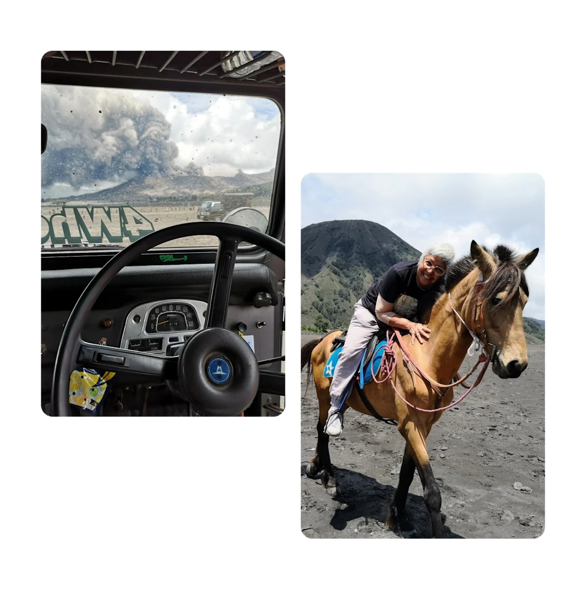 Two pins, interior of 4wd vehicle, and person riding horse