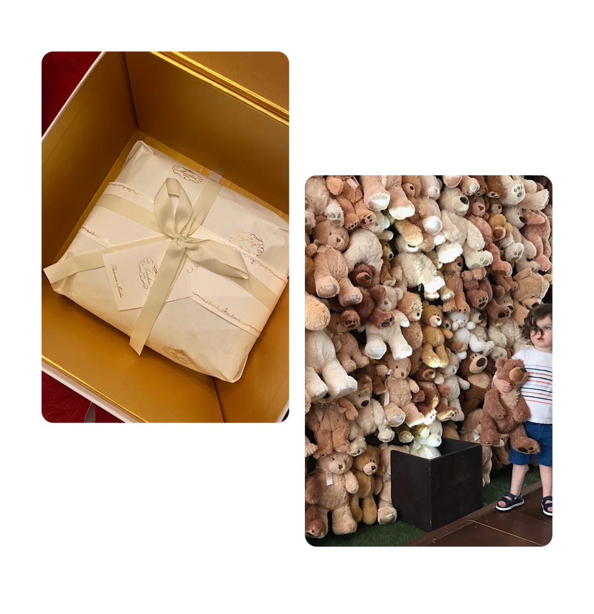 Two pins, gift box, wall of teddy bears