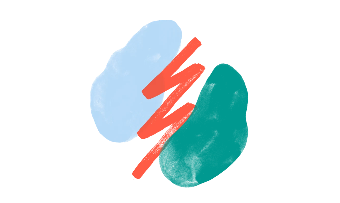 Illustration de deux ovales divisés par un trait en zigzag orange
