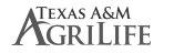 AM logo gray