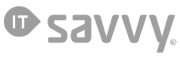 IT savvy logo