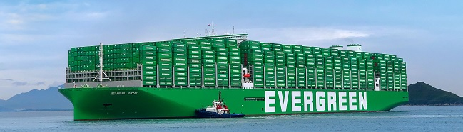 Evergreen Vessel image