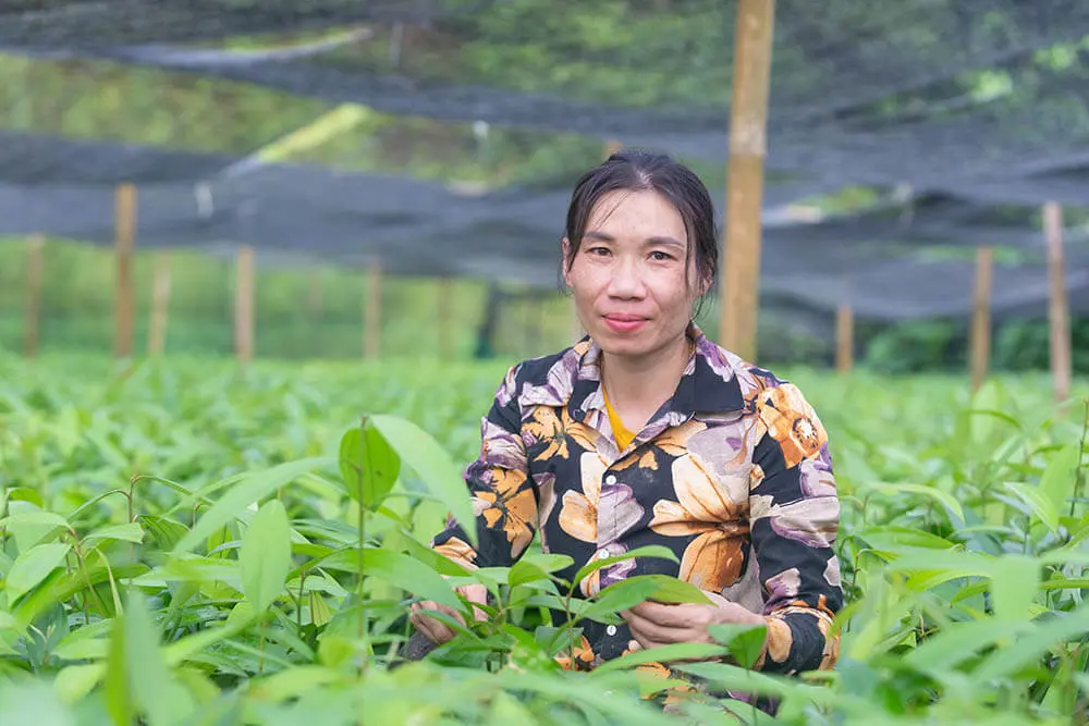 Une femme asiatique aux cheveux foncés. Elle porte une chemise à motifs et se tient dans un champ de grandes plantes.