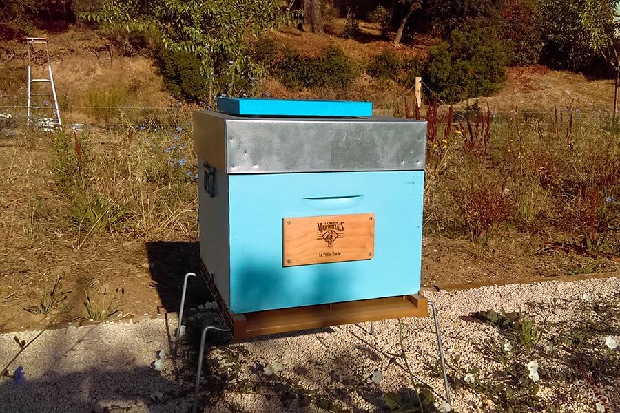 image 2 Les abeilles, maillon essentiel de la biodiversité