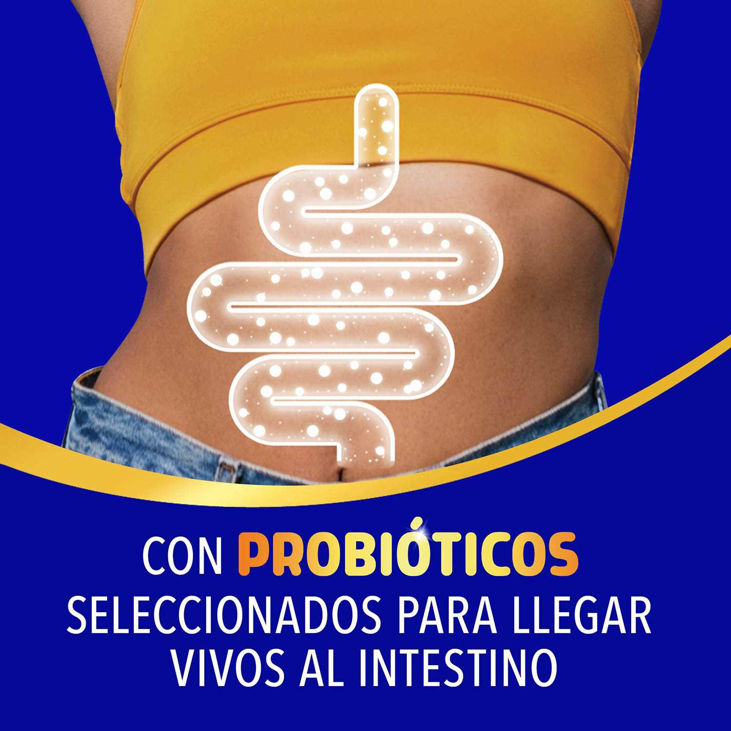 Imagen de intestino con el siguiente texto: con probióticos seleccionados para llegar vivos al intestino