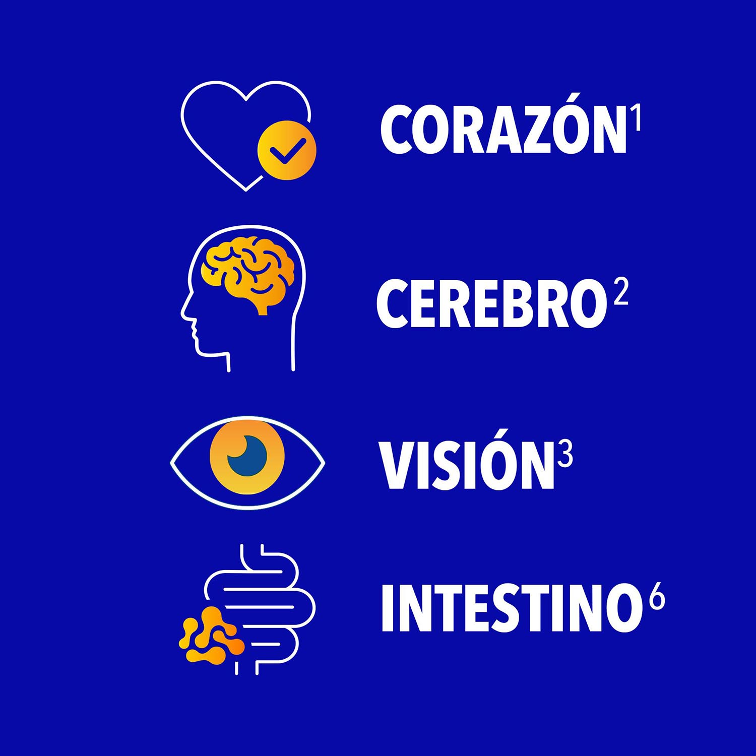 Iconos con texto: corazón, cerebro, visión e intestino