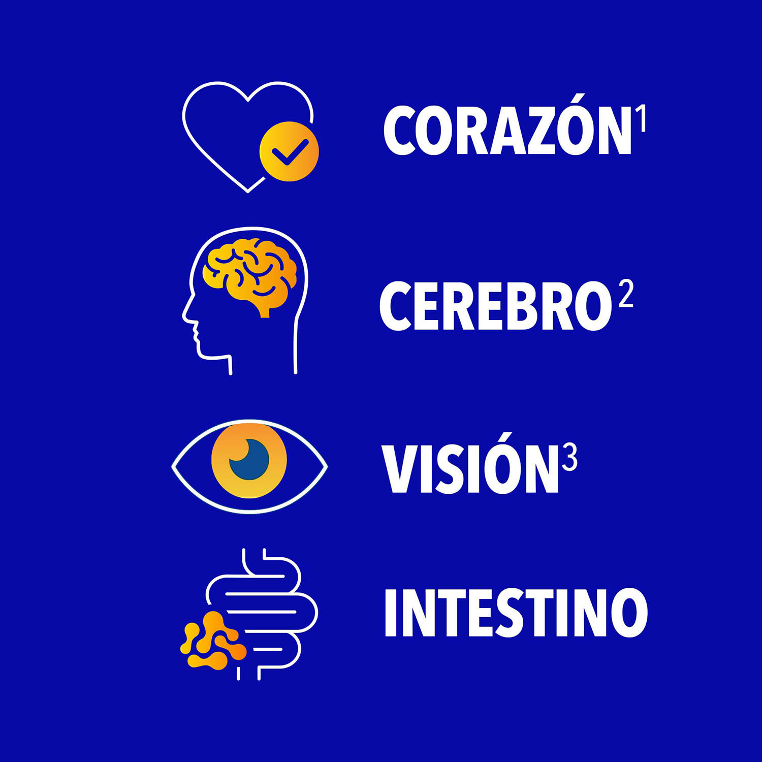 Iconos que indican: corazón, cerebro, visión e intestino