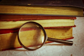 examining the dividend payout ratio