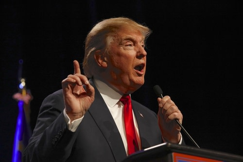 donald trump character portrait
