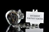 Dividend Payout Ratio