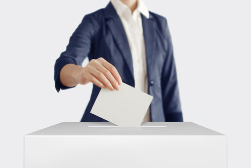 Stock Voting Structure