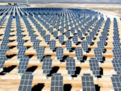 Solar panels in a field