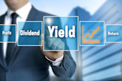 Dividend yield return and profit