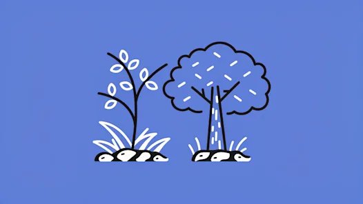 What Is the Difference Between Training and Development?