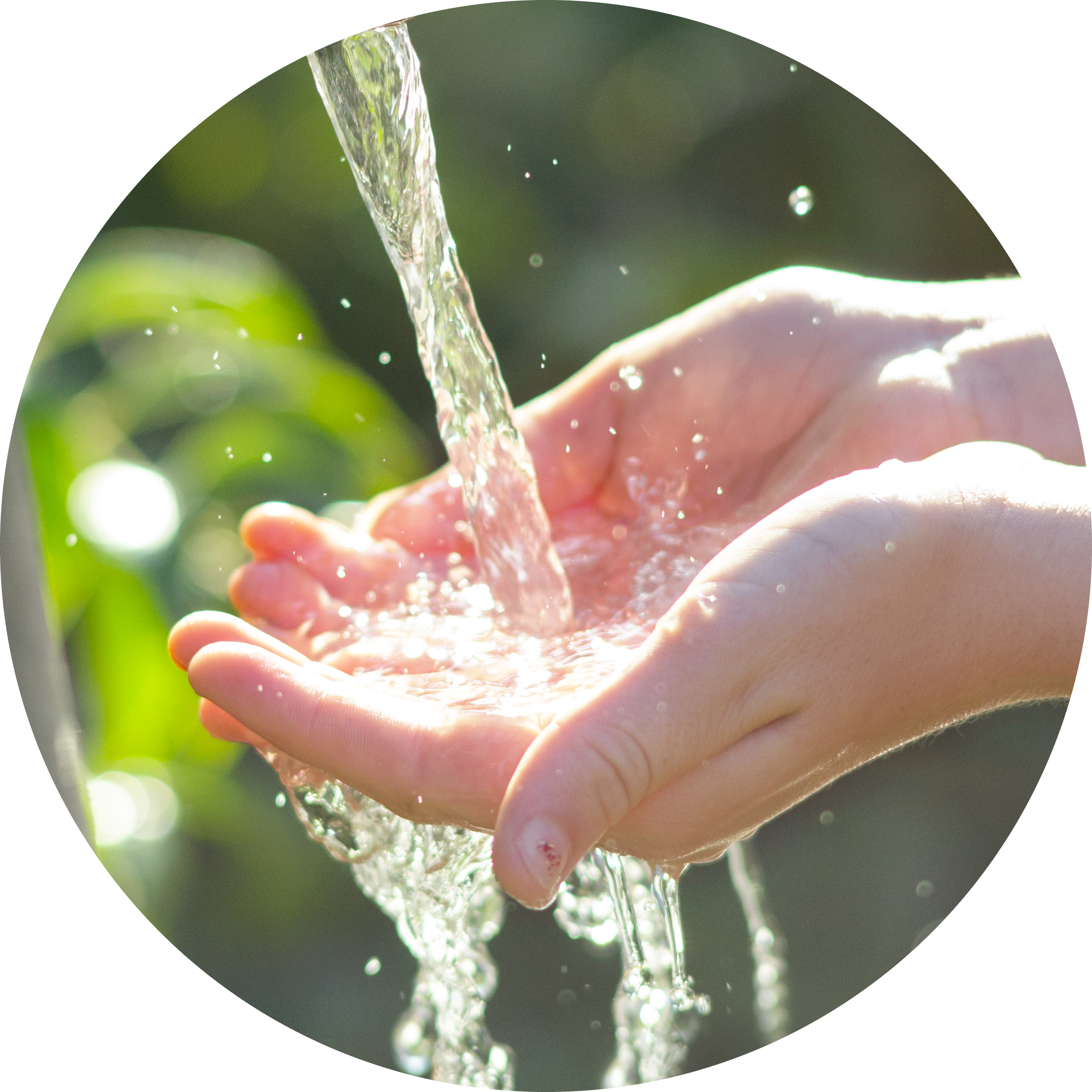 acqua
