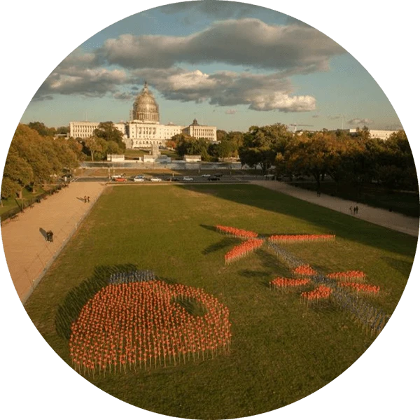 Parco eolico - immagine