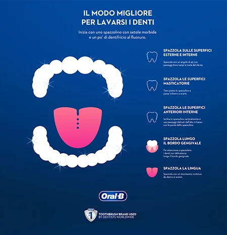 Una guida step by step su come lavare correttamente i denti spazzolando tutte le superfici, il bordo gengivale e la lingua.