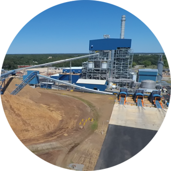 Albany Biomass Facility