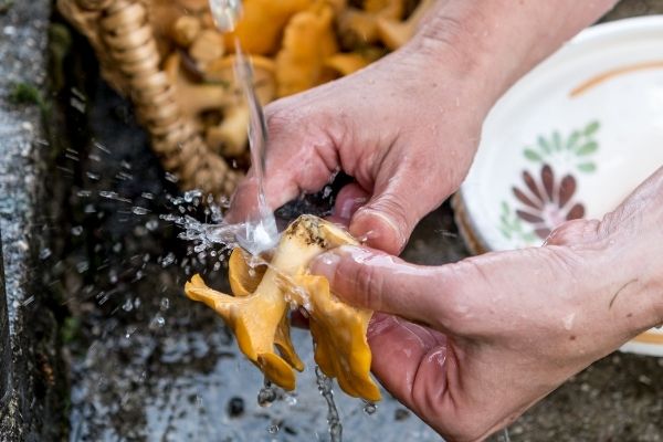 mycie grzybów