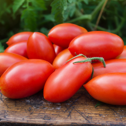 Pomidory polne