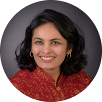 Hayat Alvi, Associate Professor am U.S. Naval War College in Rhode Island