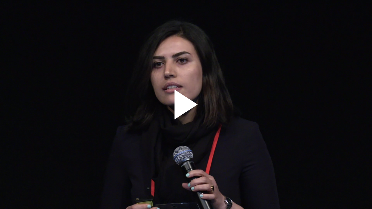 Mina Rezaei "Deep Representation Learning for Imbalanced Medical Image Segmentation"