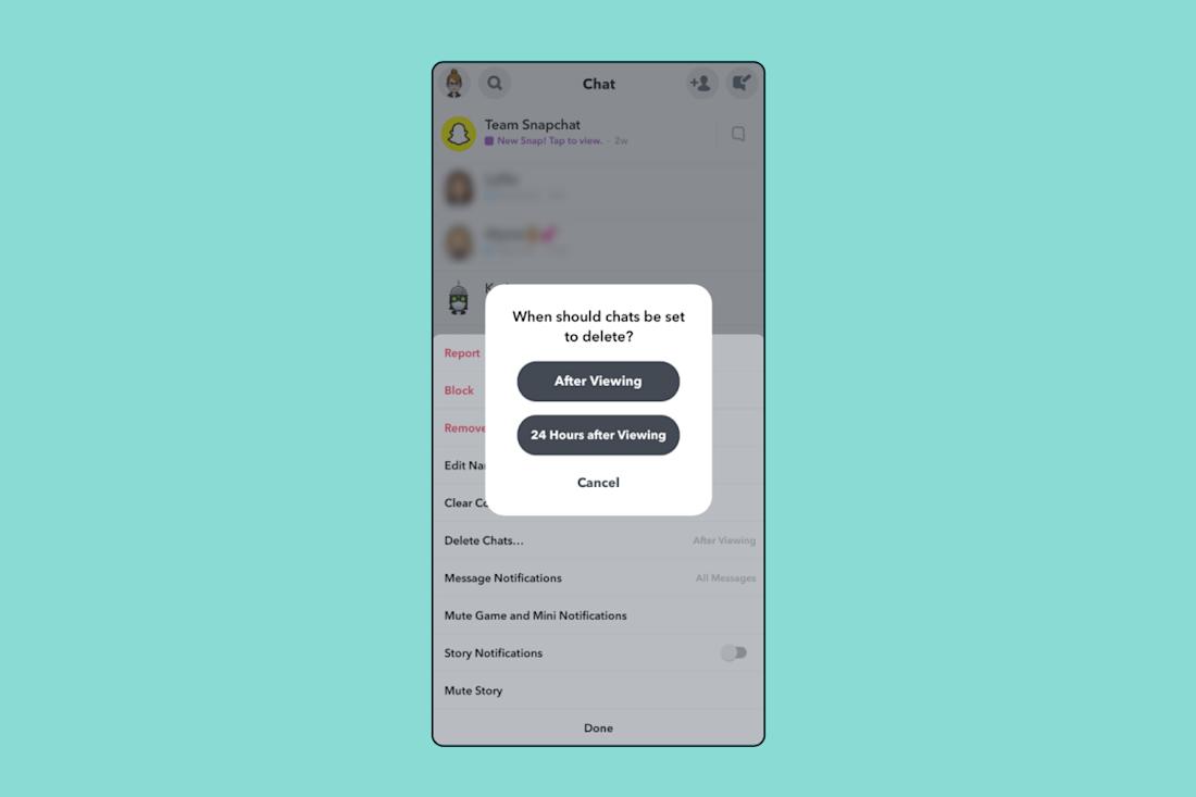 novel-data-ch3-snapchat-delete-chats