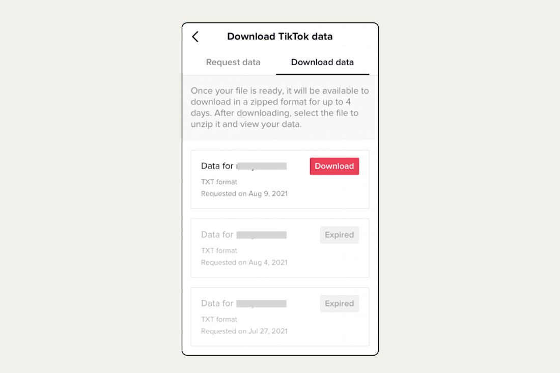 novel-data-ch2-tiktok-download-info