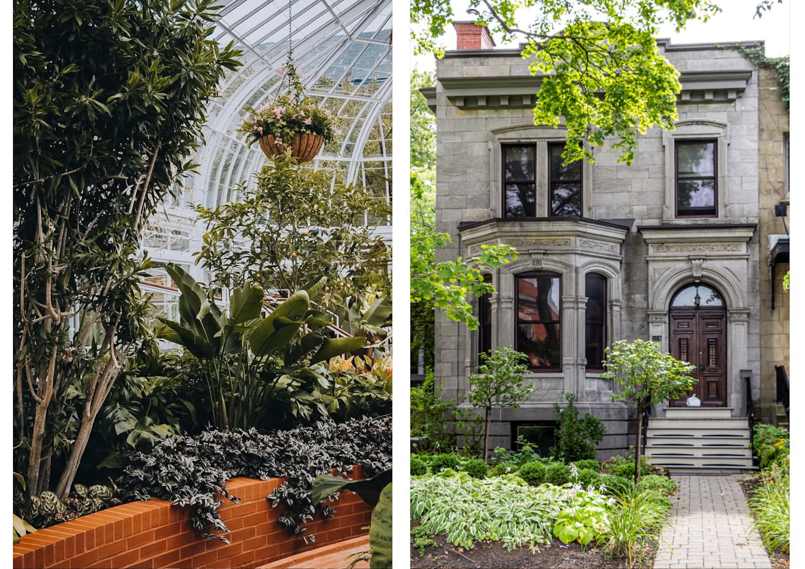 Westmount-Collage