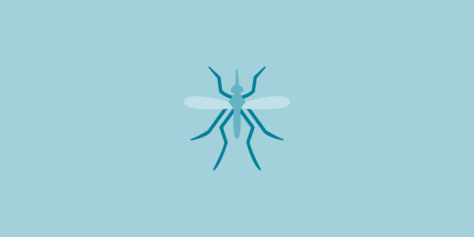 illustration of zika fly