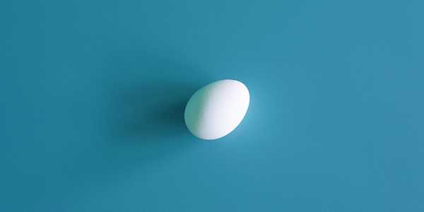 Image d'un oeuf