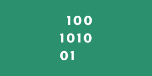 100101001